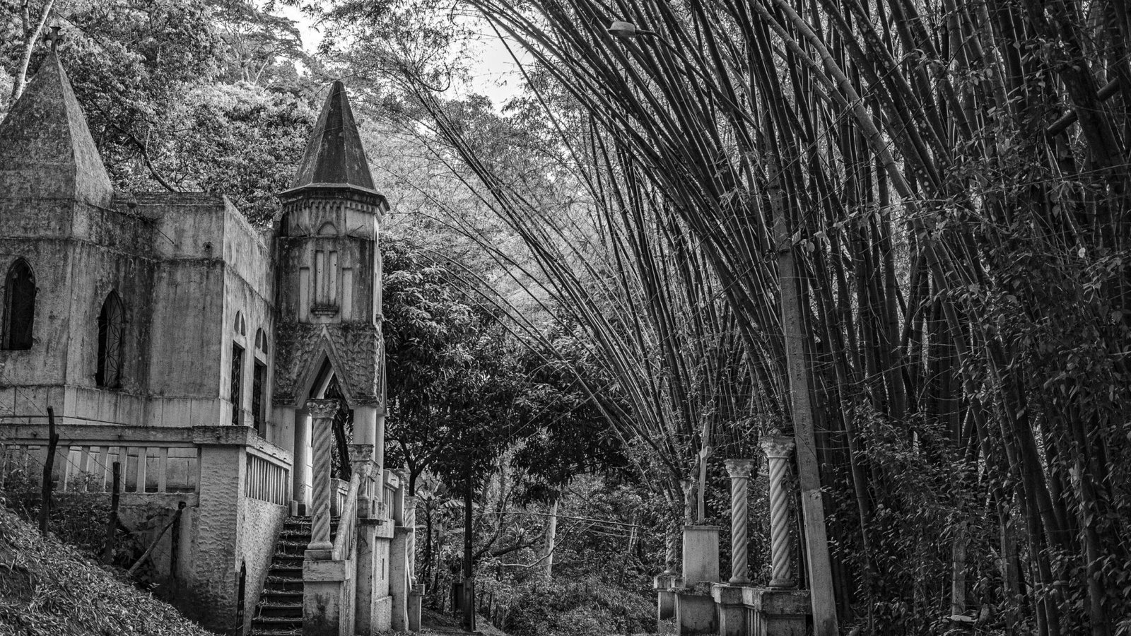 Foto: Anderson Sindeaux / Pexels