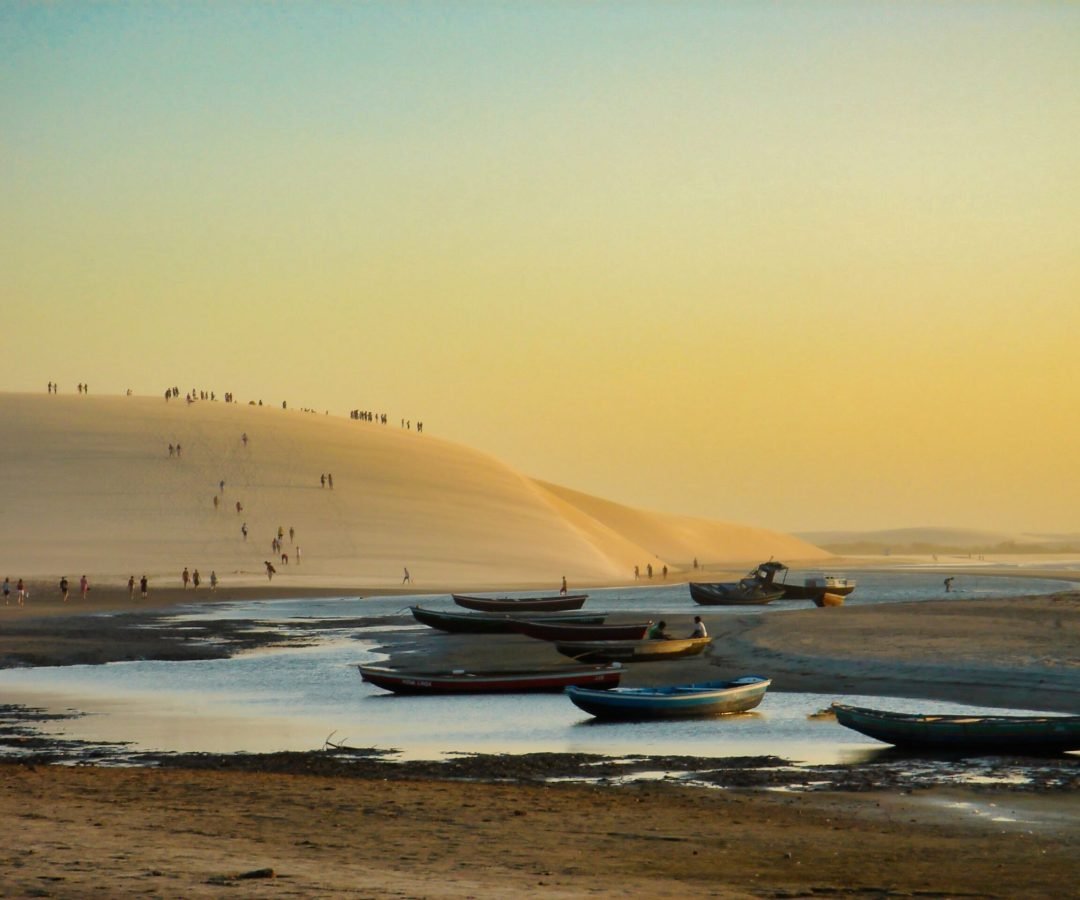 Foto: Roberto Garrido / Pexels