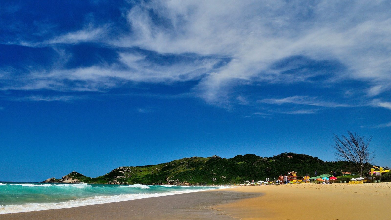 Foto: Flickr / Pexels