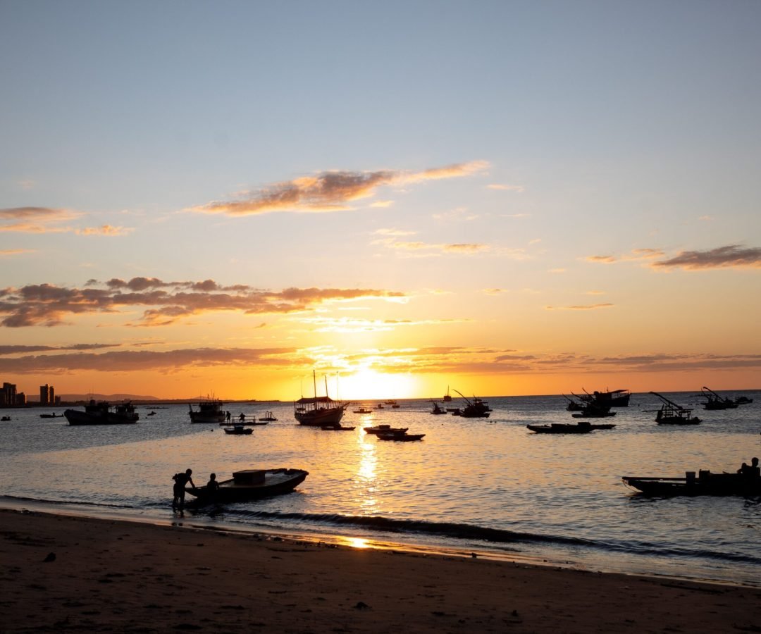 Foto: veronica medeiros / Pexels