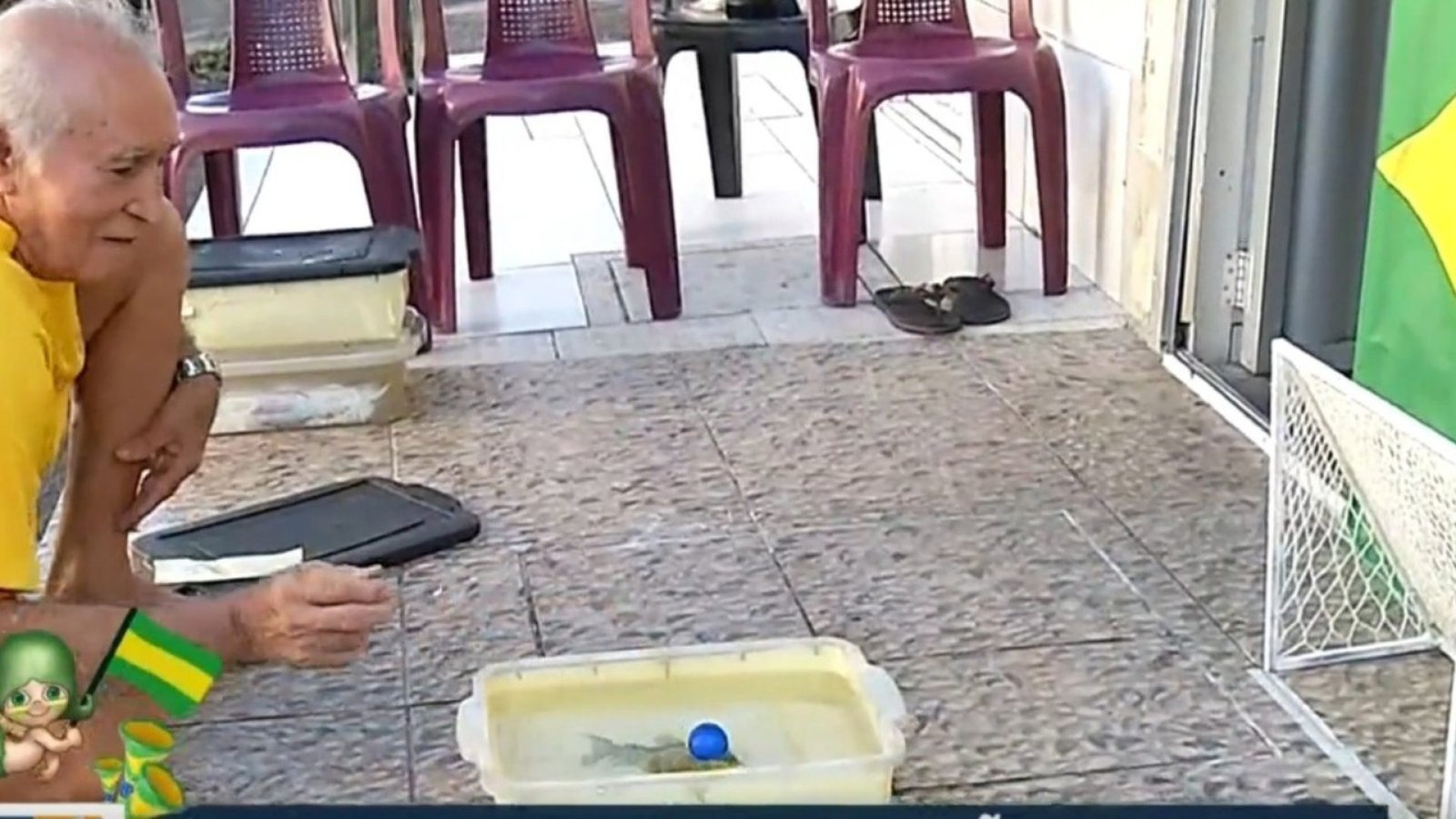 semana. Laurindo diz que as primeiras bolinhas sempre vão para fora até o peixe