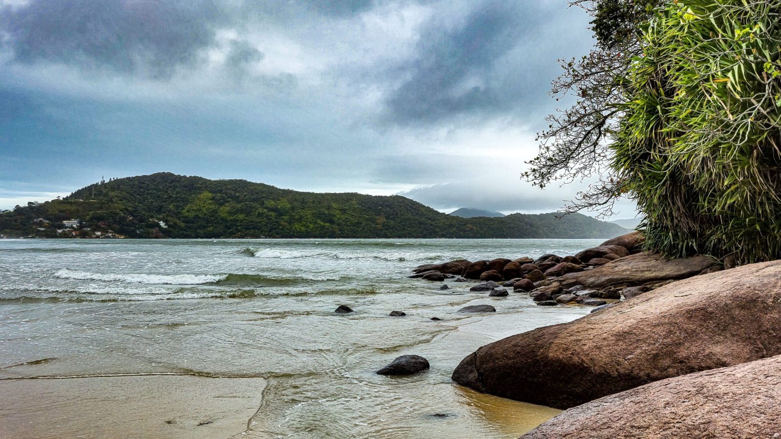 Foto: Carlos Macedonio / Pexels