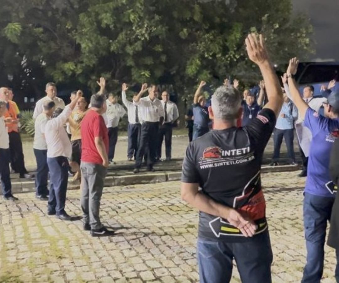Sinteti/Reprodução