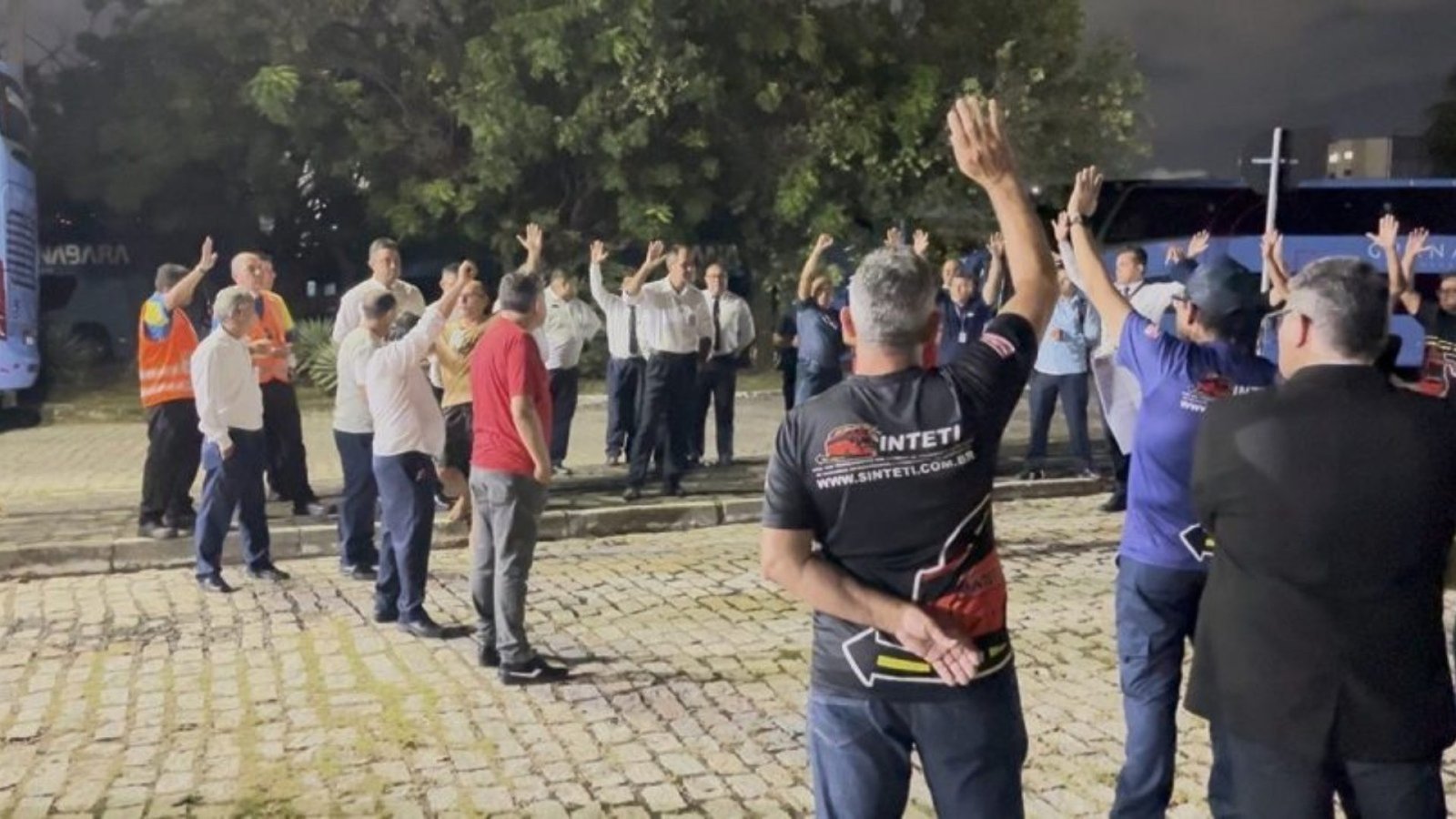 Sinteti/Reprodução