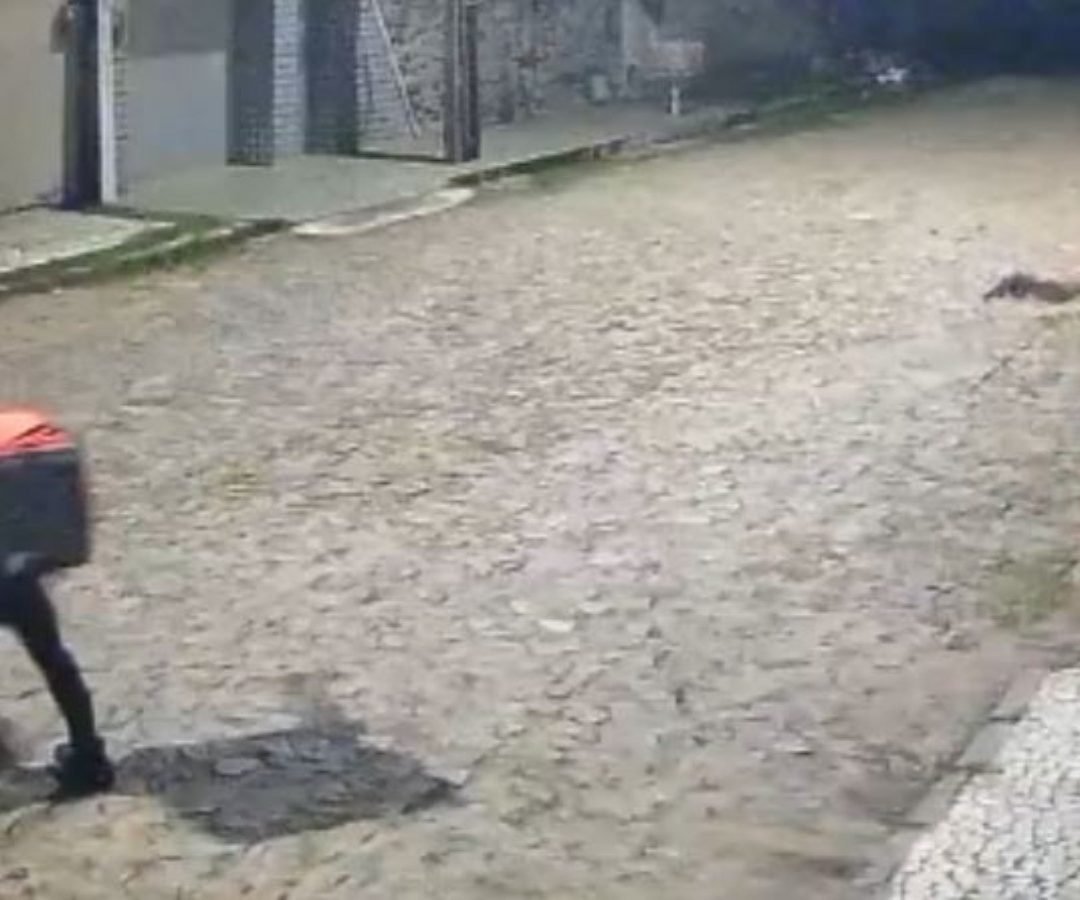 TV Verdes Mares/Reprodução