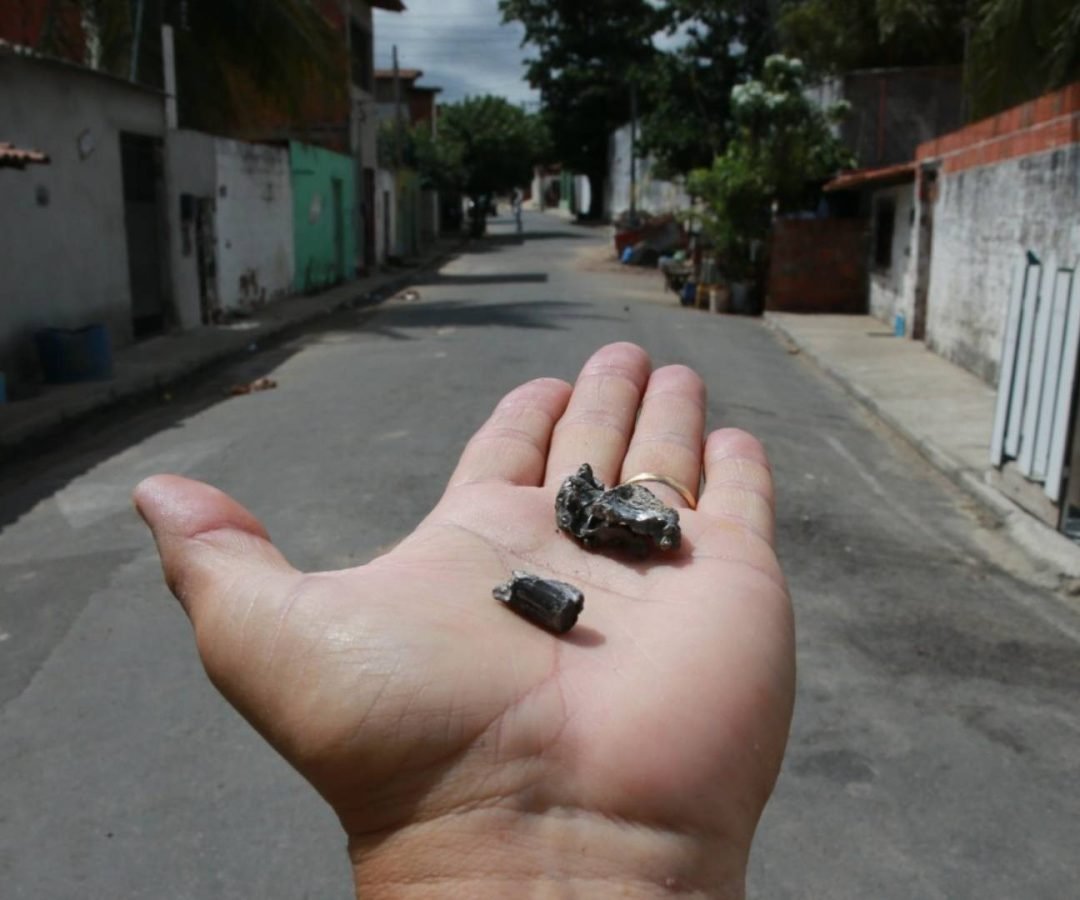 Foto: José Leomar/SVM