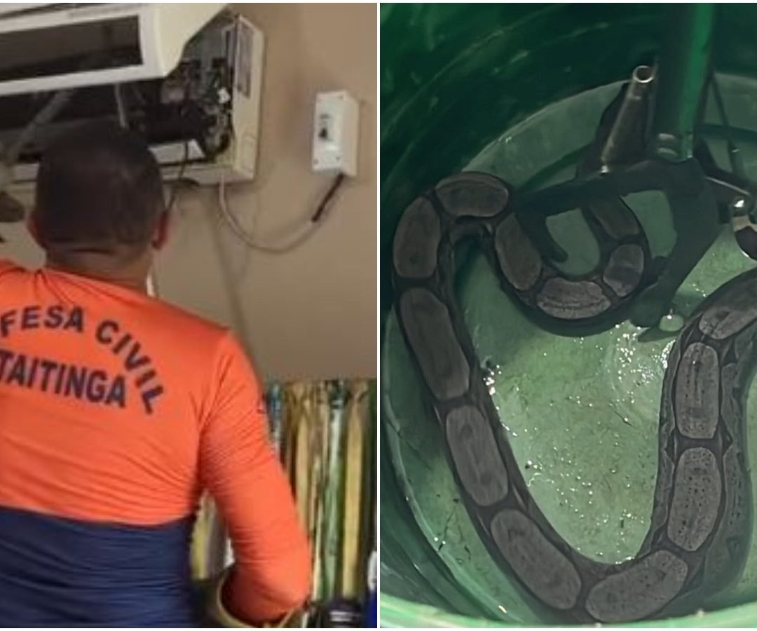 agentes da Defesa Civil dentro de um aparelho de ar-condicionado na Secretaria d