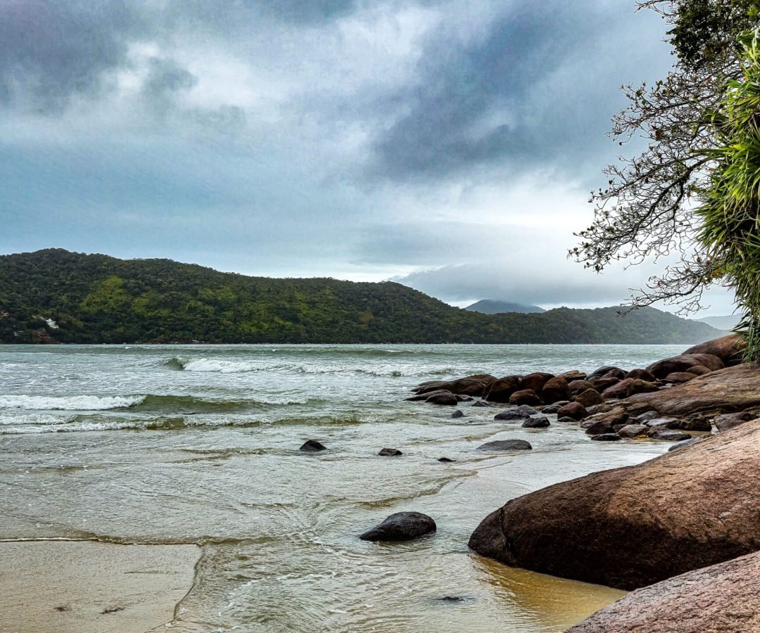 Foto: Carlos Macedonio / Pexels