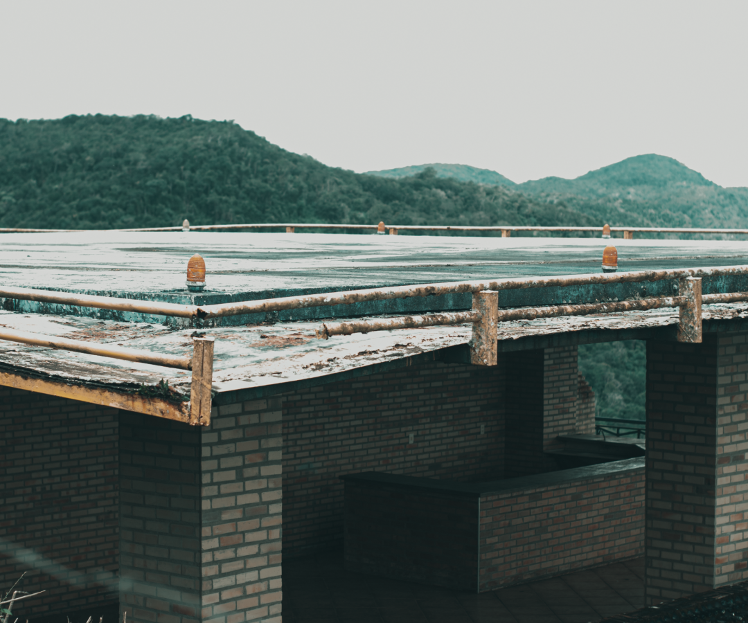 Foto: Ranieri Sampaio / Pexels