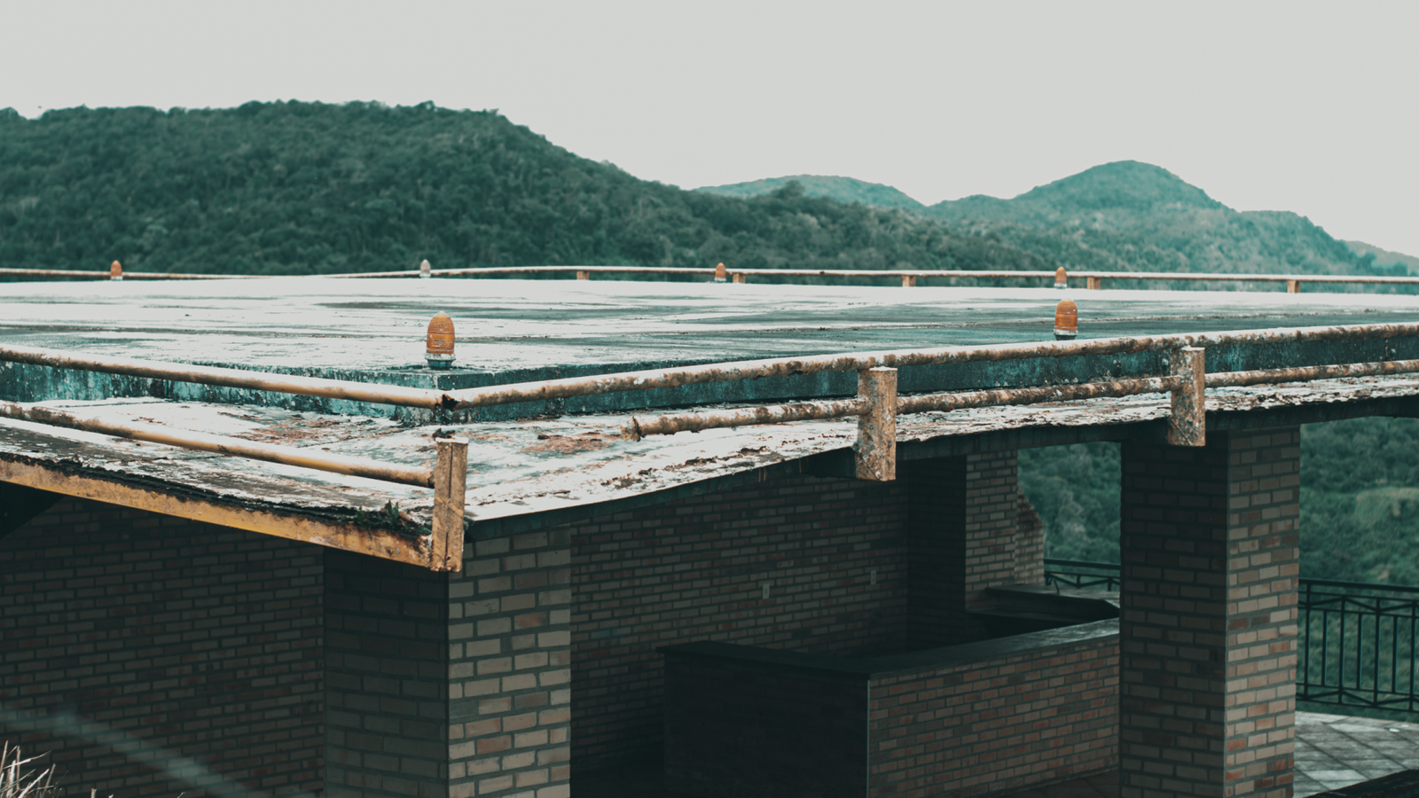 Foto: Ranieri Sampaio / Pexels