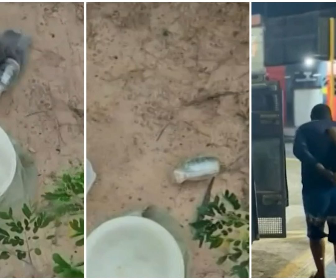 suspeita de planejar um ataque com granadas à delegacia de Polícia Civil da cida