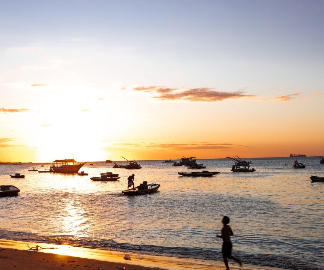 Foto: veronica medeiros / Pexels