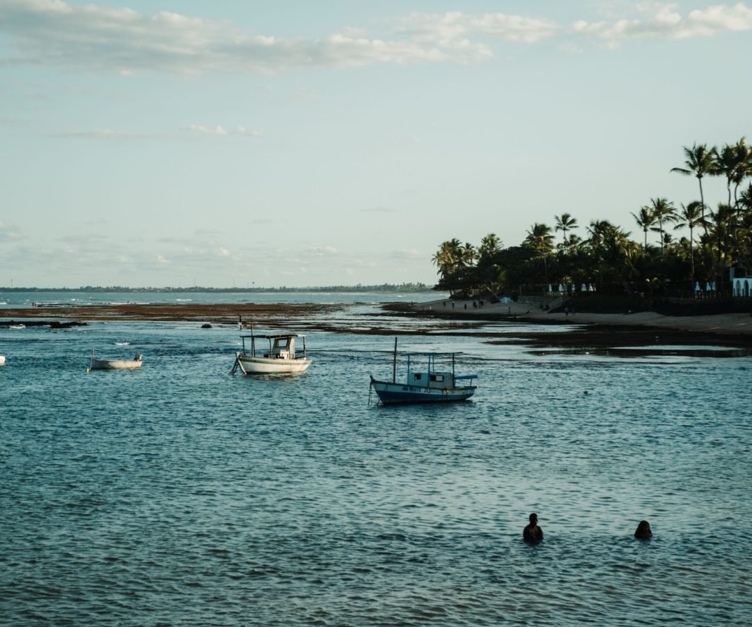 Foto: Gustavo Serrate / Pexels