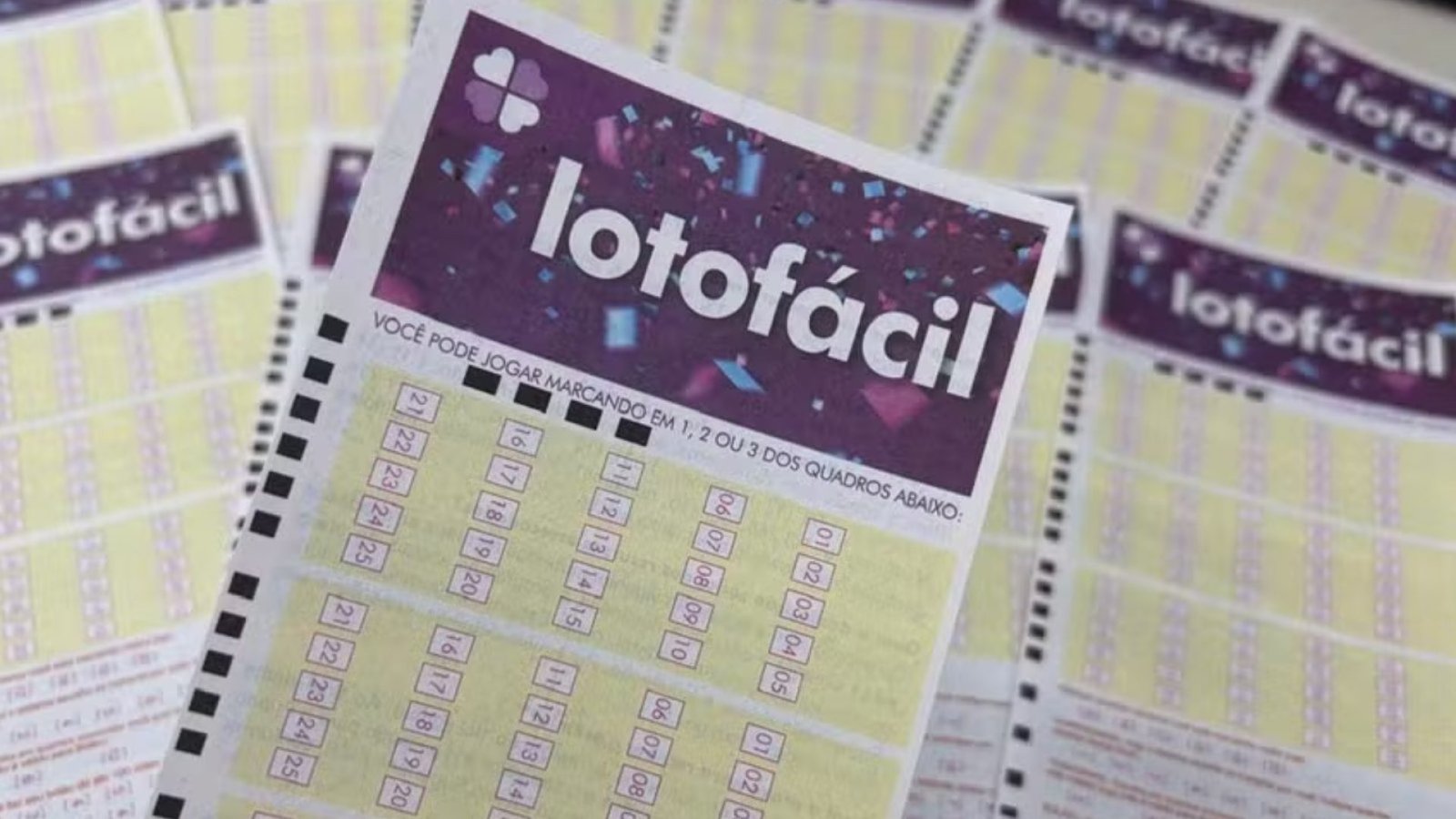 Fortaleza celebra bolão milionário na Lotofácil e consolida fama de lotérica pé-quente