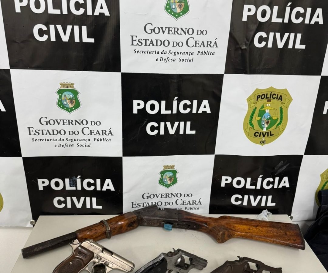 policiacivilalessandraxavier