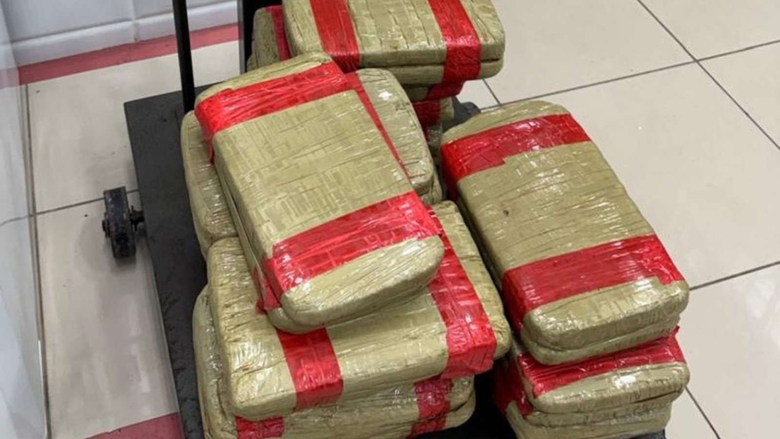 Passageira é detida com 32 kg de skunk ao desembarcar em aeroporto de Fortaleza
