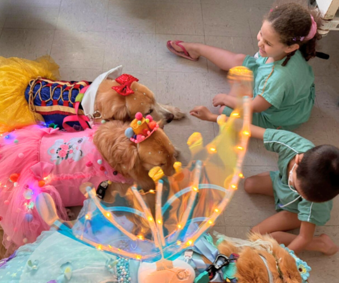 casacivillarissafalcao