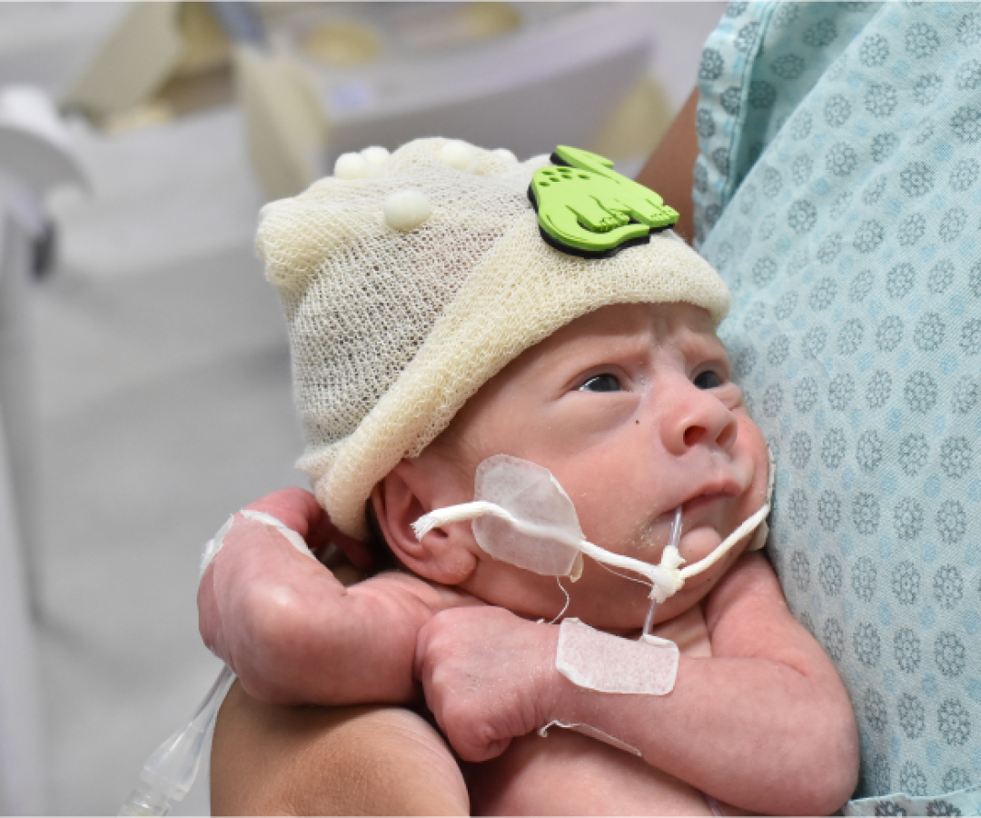 igualdaderacialelieziocosta