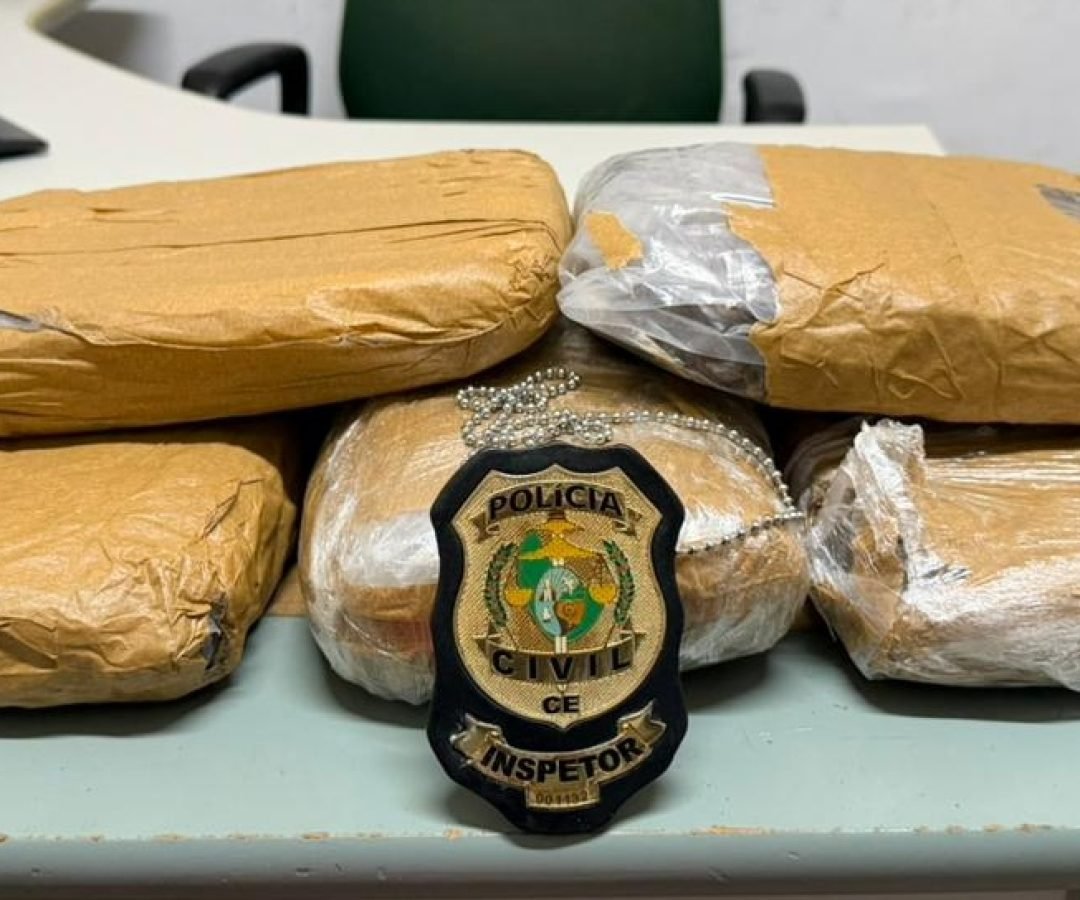 txt-apreensao_-Fab.IM_